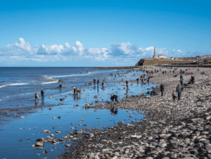 People collecting seaglass along Seaham
Beach shoreline on a sunny day.